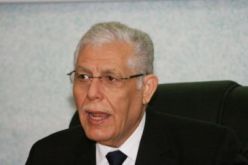 نموذج لطائرة جزائرية بدون طيار قيد التركيب ببواسماعيل