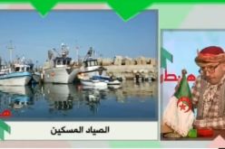 شاهد معاناة الصيادين بميناء بوسماعيل في تيبازة