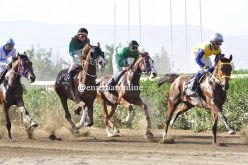 الفروسية .. الجائزة الكبرى لمدينة غليزان