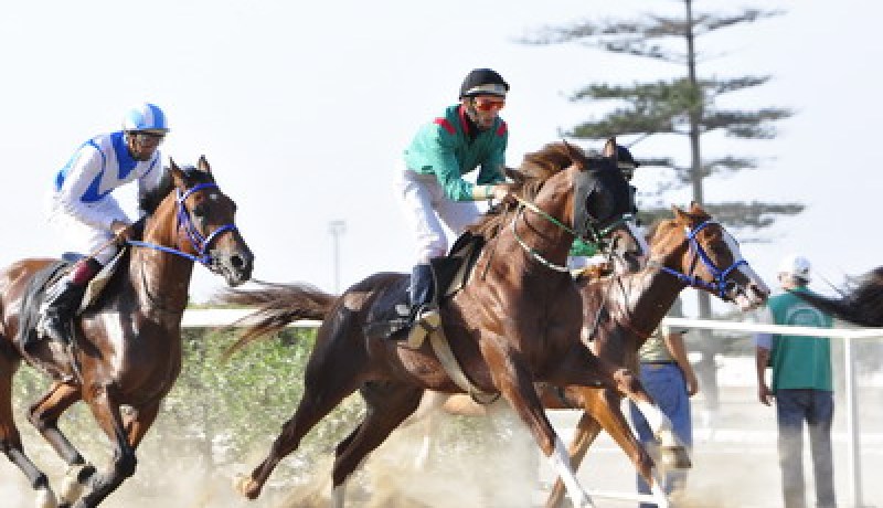 سباق الخيل بخروبة