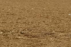 جريحان بعد سقوط طائرة مروحية تابعة للجيش في سطيف