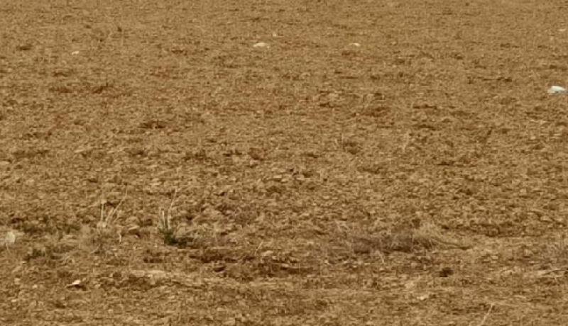 جريحان بعد سقوط طائرة مروحية تابعة للجيش في سطيف