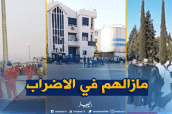 موظفو “سوناكوم”بقسنطينة وعمال “ميناء بجاية” و”المجمع الغازي” بأدرار يواصلون الاضراب