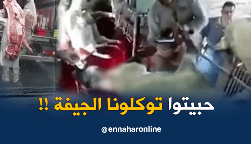 الشيخ النوي.. الجزائر لاتحتاج اللحوم الأوروبية