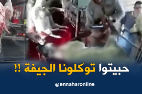 طالع هابط: خليتو اللحم تاعنا وحبيتو توكلولنا الجيفة تع فرنسا.. راكم كامل هابطين