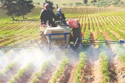 أزيد من 420 مليار سنتيم تعويض للفلاحين منذ انطلاق العام الجاري