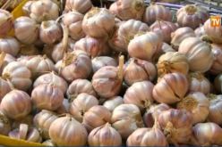 بالفيديو..الثوم يتربع على عرش الخضر والفواكه