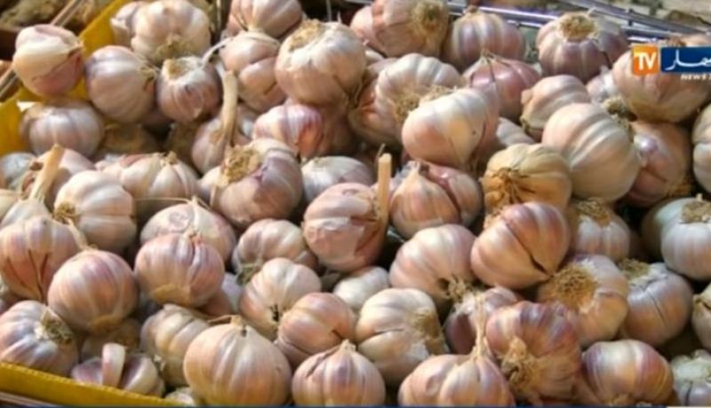 بالفيديو..الثوم يتربع على عرش الخضر والفواكه