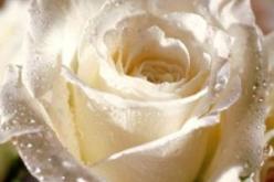 النهار تساعدك على تخطي العزوبية