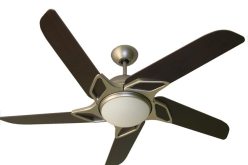 شاهد.. أغرب مروحة بيت في العالم