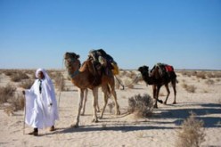 إجراءات تأمين الحركة السياحية تنجح في استقطاب السياح الأجانب