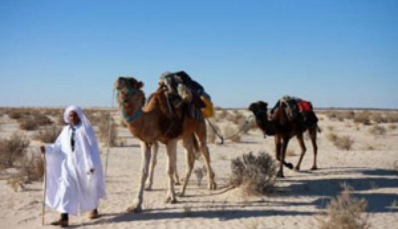 إجراءات تأمين الحركة السياحية تنجح في استقطاب السياح الأجانب
