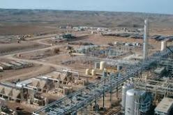 ''عودة عمال الشركات الأجنبية إلى عين أمناس بداية الفاتح أفريل الداخل''