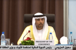 وزير الطاقة الإماراتي : الجزائر عضو هام في منظمة الأوبك