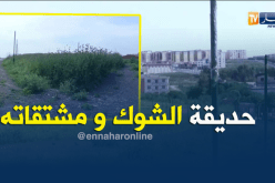 الشيخ النوي..حديقة مهملة ومخروبة بعين تموشنت