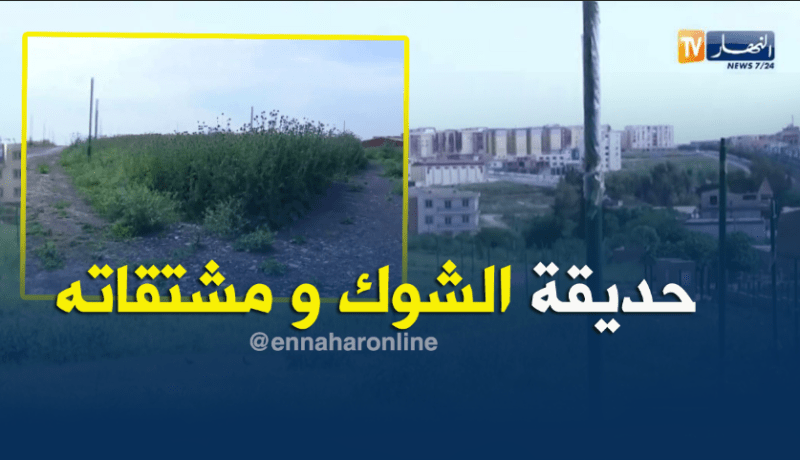 الشيخ النوي..حديقة مهملة ومخروبة بعين تموشنت