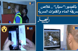 فيديو.. حادث بين سباق للخيول وسيارة للدرك الوطني !!!