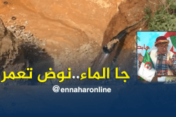 “سيال” يستمعون لنداء النوي.. راكم طالعين