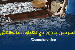السردين بـ 900 دج للكيلو.. مالحقناش باش نشريوه