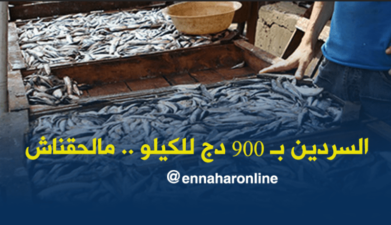 السردين بـ 900 دج للكيلو.. مالحقناش باش نشريوه