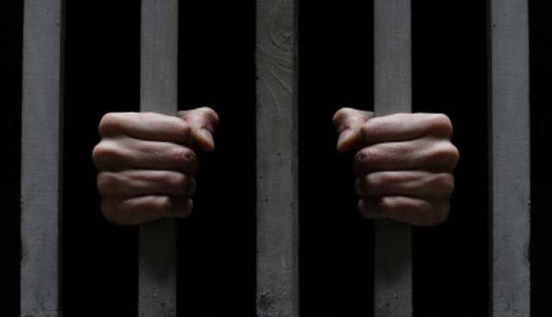حبس عصابة بن طلحة اعتدت على المواطنين باستعمال كلب ألماني مروّض