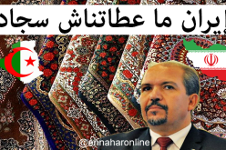 محمد عيسى: هذه حقيقة الزرابي الإيرانية المخبأة في المخازن