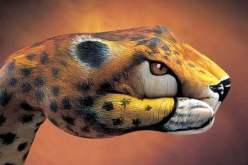 بالصور الإيطالي غيدو دانييلي يحول الأيدي البشرية إلى حيوانات