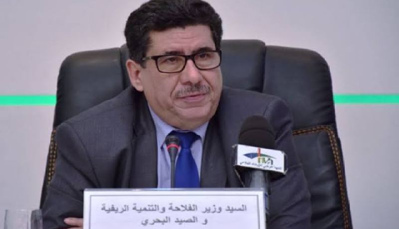 عماري: سنغرس 43 مليون شجرة ونبعث السد الأخضر بطرق حديثة