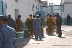 منع إستخراج المحبوسين.. والتحقيق معهم داخل السجون بسبب كورونا