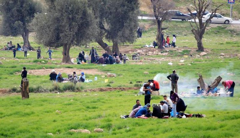 قسنطينة: قرار ولائي يحظر التجمعات بالغابات مؤقتا