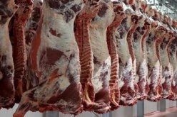سطيف.. حجز قنطار من اللحوم الحمراء غير الصالحة للاستهلاك