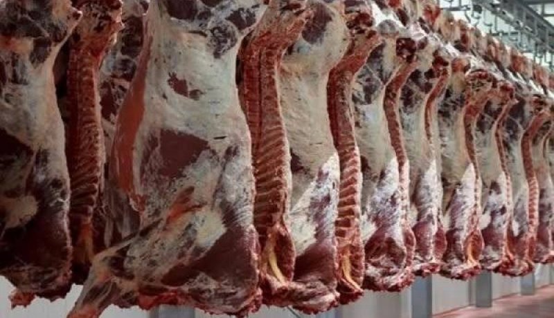 سطيف.. حجز قنطار من اللحوم الحمراء غير الصالحة للاستهلاك