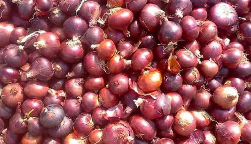 إخراج كميات كبيرة من البصل لتموين السوق