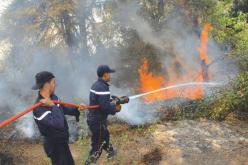 حريق مهول في جبال قوراية بتيبازة