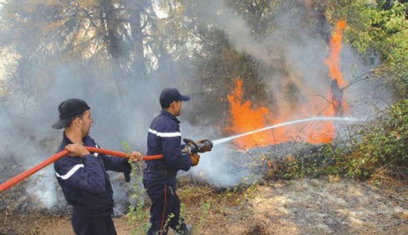 حريق مهول في جبال قوراية بتيبازة