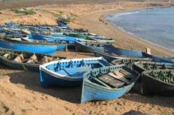 إطلاق عملية لصيانة وإصلاح السفن بأسعار تنافسية ومؤسسة “Ecorep-Piriou” تطلب قرضا بنكيا