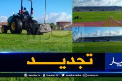 بالصور.. أرضية ملعب القليعة بحلة جديدة