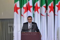 جريدان: صندوق استثماري لمرافقة المناولة الصغيرة قريبا