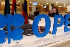 إتفاق أوبيب+: ضرورة إمتثال الدول الموقعة بنسبة 100 بالمائة