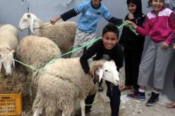 سيناتور يطالب وزارة الشؤون الدينية بإلغاء شعيرة الذبح يوم عيد الأضحى