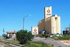 إعتماد نظام رقمي جديد بالديوان المهني للحبوب لمتابعة حركة المخازن