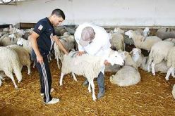 وزارة الفلاحة: تجنيد 2.000 بيطري لمراقبة بيع وذبح الأضاحي