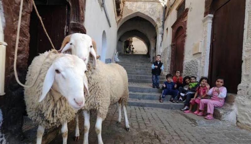 الجزائريون والمسلمون ينحرون الاضاحي في ظروف استثنائية