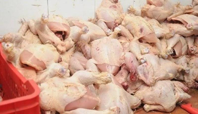 حجز 20 قنطارا من الدجاج الفاسد في الجلفة