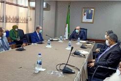 فتح المساجد.. اللجنة الوزارية للفتوى تجتمع اليوم