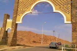ولاية اليزي تستقبل 17 رعية جزائرية كانوا عالقين في ليبيا