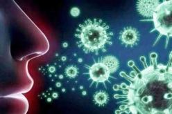 دراسة تكشف سبب فقدان حاسة الشم عند الإصابة بفيروس كورونا