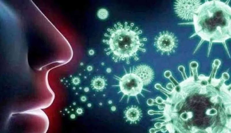 دراسة تكشف سبب فقدان حاسة الشم عند الإصابة بفيروس كورونا