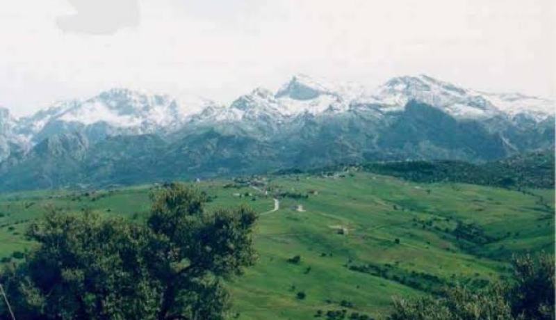 تمويل ستة مشاريع فلاحية بين الحظيرة الوطنية لجرجرة والإتحاد الأوروبي