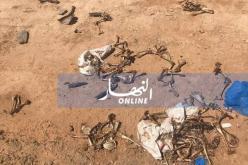 بجاية: العثور على أعضاء جسم إنسان داخل بالوعة